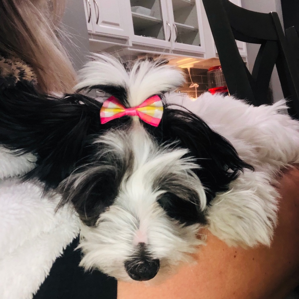 Meet your Posher, Rylee
